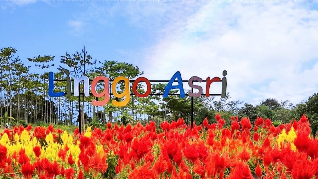 Destinasi Wisata Pekalongan dengan Pemandangan Luar Biasa Linggo Asri