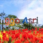 Destinasi Wisata Pekalongan dengan Pemandangan Luar Biasa Linggo Asri