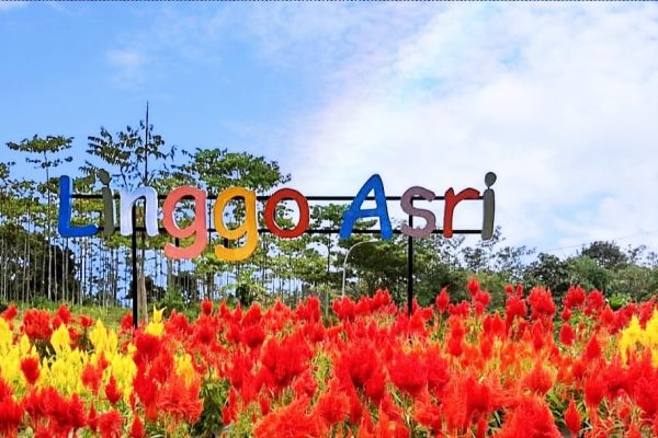 Destinasi Wisata Pekalongan dengan Pemandangan Luar Biasa Linggo Asri