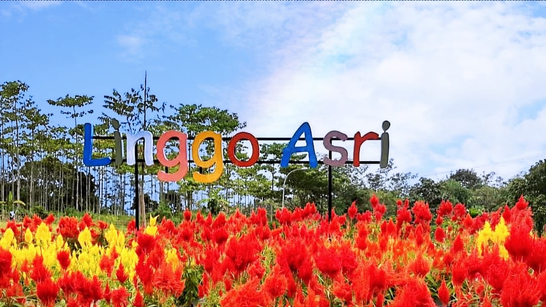 Destinasi Wisata Pekalongan dengan Pemandangan Luar Biasa Linggo Asri